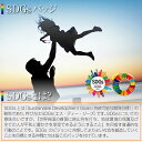 【4/17 10時迄 10%クーポン配布中】SDGs バッジ ピンバッジ 簡単 取り付け sdgsバッジ きれい Sustainable Development Goals 地域環境の保護 2