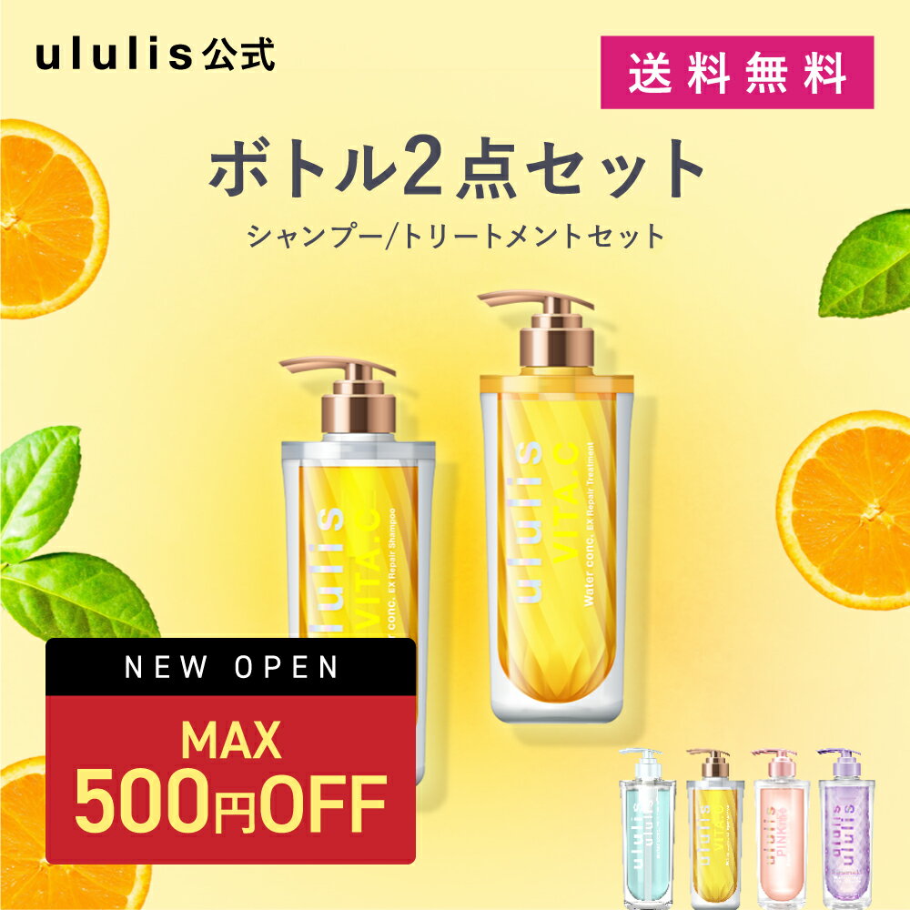 【送料無料】サンコール R-21 シャンプー EX エクストラ 500ml＆トリートメントEX エクストラ 500g セット ポンプ ボトル SUNCALL R21 ハリ コシ 頭皮ケア 保湿 ヘマチン 植物美容エキス 植物美容オイル ヘアケア 美容室専売 サロン専売 おすすめ