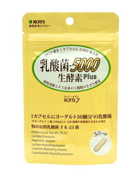 【送料無料】 乳酸菌＋生酵素の力!! 1カプセルにヨーグルト50個分の乳酸菌 【乳酸菌5,000 生酵素Plus】 穀物発酵エキス 酵素 30カプセル 便秘 すっきり乳酸菌 FK-23 フェカリス菌 エンテロコッカス・フェカリス ラッキーシール