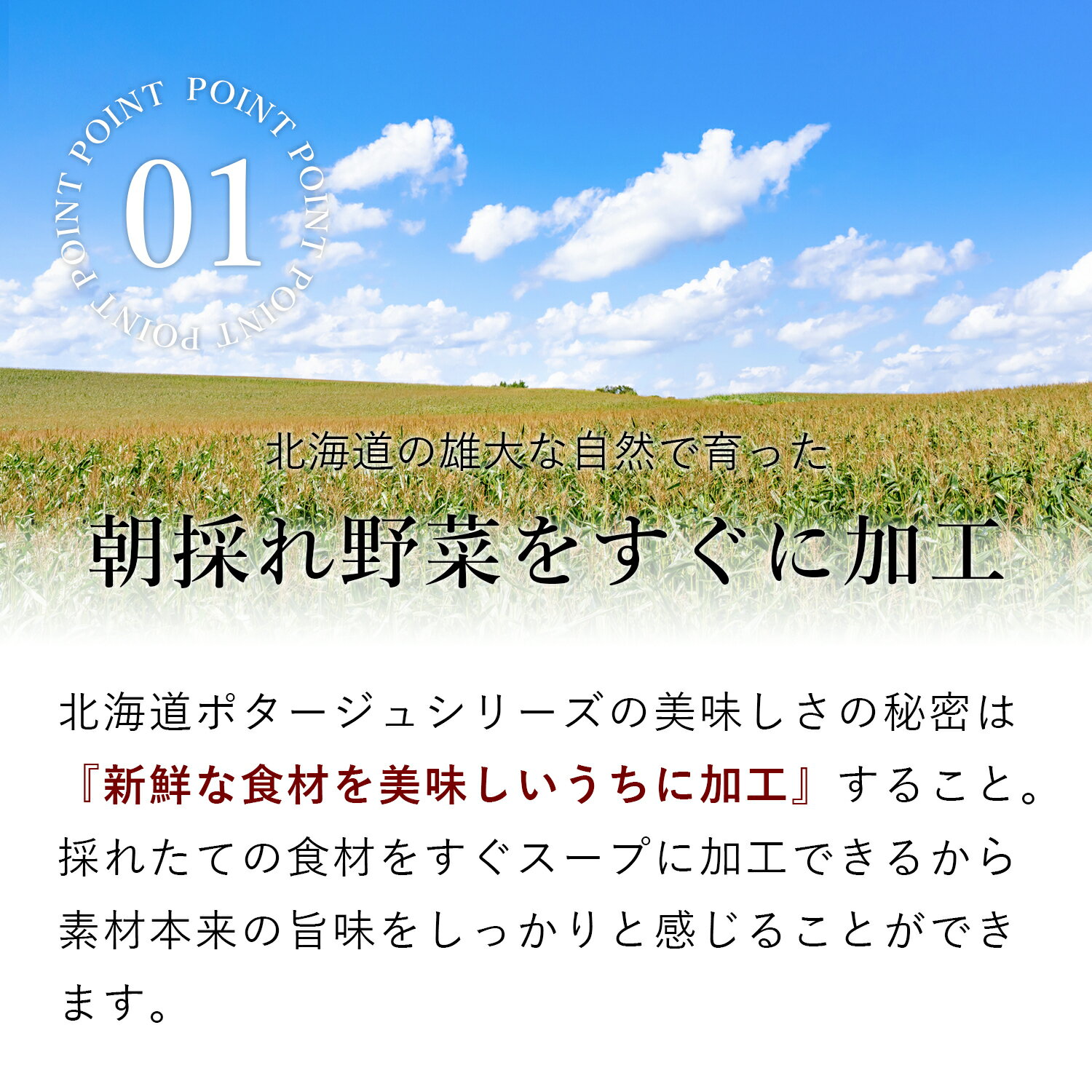 マツコの知らない世界で紹介! 濃厚で美味しい ...の紹介画像2