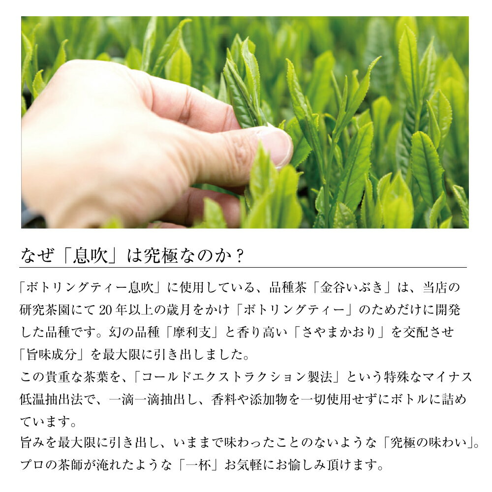 息吹はなぜ究極なのか1