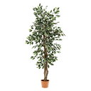 観葉植物 フィカス 690 B フェイクグリーン モダン インテリア 送料無料 不二貿易 プチプラ コスパ お中元 人気 夏 ギフト サマーギフト 楽天