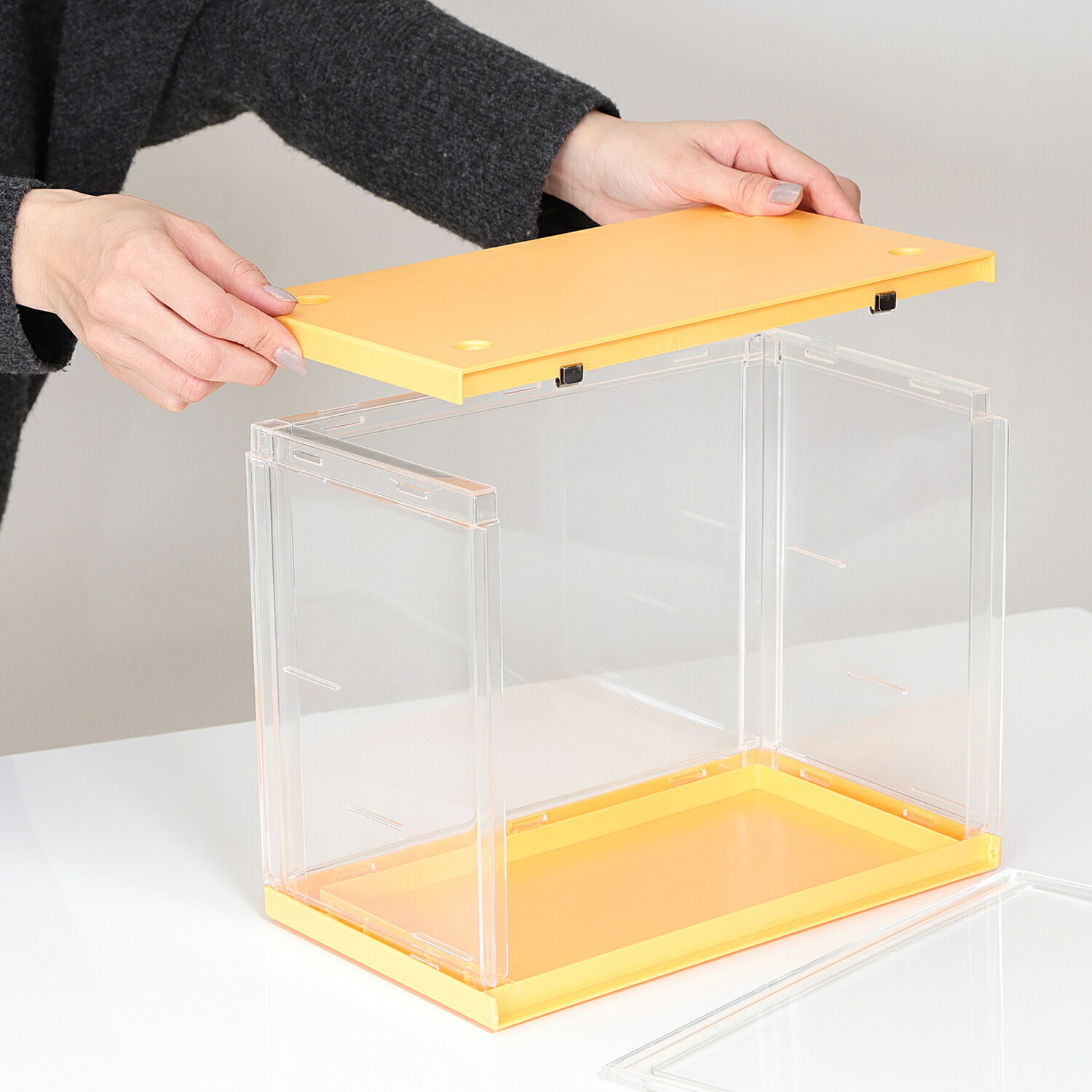 コレクションケース hina Yellow Marigold 収納 モダン インテリア 送料無料 不二貿易 プチプラ コスパ 人気 楽天