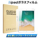 ipad ブルーライトカットフィルム 第10世代 第9世代 第6世代 9.7 インチ 10.2 mini6 air4 第4世代 ガラスフィルム 保護シート 保護フィルム 10.9