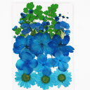 【0,5の日ポイント5倍 今月限定ポイント3倍】DIY用 押し花 ドライフラワー ブリザードフラワー ブルーミックス ハンドメイド オレンジ 青 ブルー