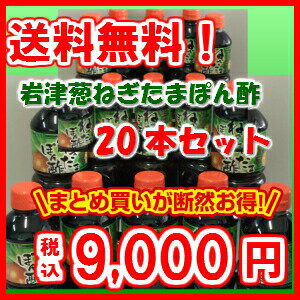 岩津葱ねぎたまぽん酢 500ml×20　【断然お得な20本セ