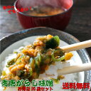 楽天黒豆とご飯のお供 八庵-はちあん青唐辛子味噌 250g×20　【お得な20個セット】【送料無料】青唐がらし おすそ分けに ご飯のお供/味噌　ご飯　味噌! 青唐辛子味噌 青唐辛子 おかず味噌 国産みそ 国産味噌