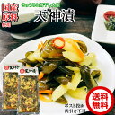 国産 天神漬　270g×2【送料無料】【ポスト投函】きゅうりと割干し大根 国産原料 お土産 胡瓜 刻み 生姜 人参 しょうゆ漬け レトルト 日持ちする