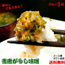 ご飯のお供 青唐辛子味噌 250g×3 ちょっぴりお得な3個セット メール便 送料無料 お中元 夏ギフト おかず 激辛 辛旨 お取り寄せグルメ 新米 ごはんのとも 国産みそ使用 青唐辛子 味噌 辛い おにぎりの具 食欲全開 保存食 賞味期限 長いの商品画像