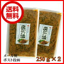 青唐がらし味噌 250g×2個セット【DM便】【お試し】【送...