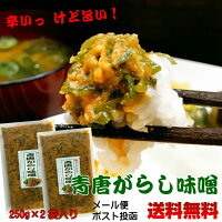 青唐がらし味噌 250g×2個セット【お試し】ご飯のお供 お取り寄せグルメ ごはんのとも 国産みそ使用 青唐辛子 味噌 辛いっ 旨い！帰省時に お肉 夏ギフト からいもの好き おにぎりの具、食欲全開 夏バテ防止 やみつき カレーの隠し味に