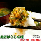 辛味噌 ご飯のお供 青唐辛子味噌 250g×2個セット メール便 お試し 送料無料 お取り寄せ グルメ ごはんお供 国産 みそ 青唐辛子 味噌 辛い 旨い お土産 手土産 お肉に 激辛 おにぎりの具 食欲全開 保存食 賞味期限