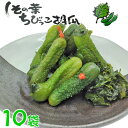 【 ポイント10倍 確定※エントリー必須】しその葉ちびっこ胡瓜 350g×10お土産 きゅうり ちびきゅう 小さい胡瓜 ちいさい