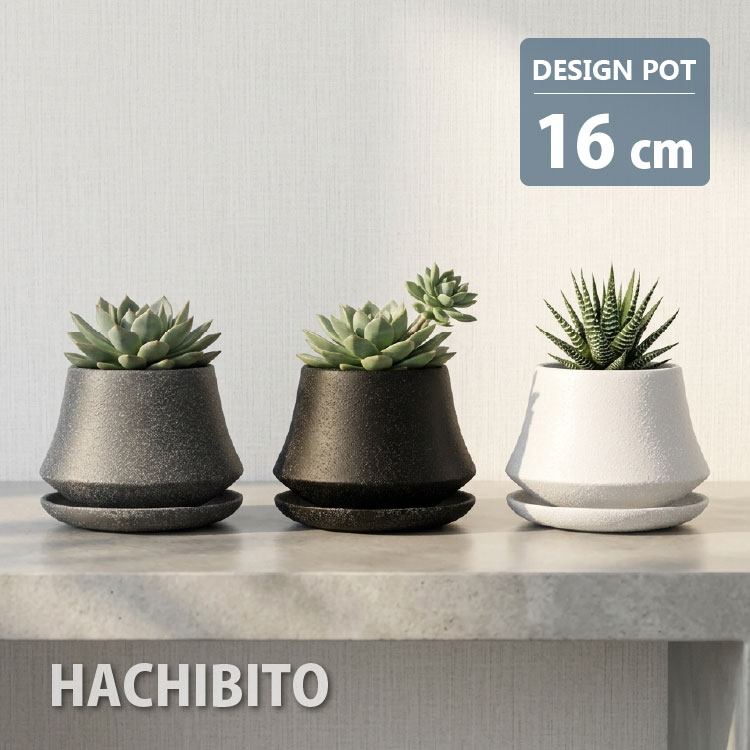 「シンプル、だけど個性的。」植物を主役にする一鉢。 お部屋に置く植物、鉢選びで迷っていませんか？ このシリンダーポットは、一見シンプルですが、表面に施された砂粒のような質感がこだわり。 ツルッとした鉢にはない、「石や土」を感じるネイティブな雰囲気が魅力です。 ちょっと背の低い浅型鉢 底部へ向かって膨らんでいる形状。開口部は狭くなっておりますのでよくご確認ください。サボテンや多肉植物との相性は抜群。安定感のあるストーンウェアがしっかりと支えてくれます。 大きさが知りたい カラーラインナップ ホワイト グレー ブラック 商品仕様 商品型番 AS013-160 サイズ 5号 / 16cm 鉢底穴 有り 受け皿 有り 材質 陶器 重さ 1060g この商品のサイズバリエーション 各サイズの商品ページへ移動できます。 5号(16cm) 6.5号(20cm) ご購入前にご確認ください