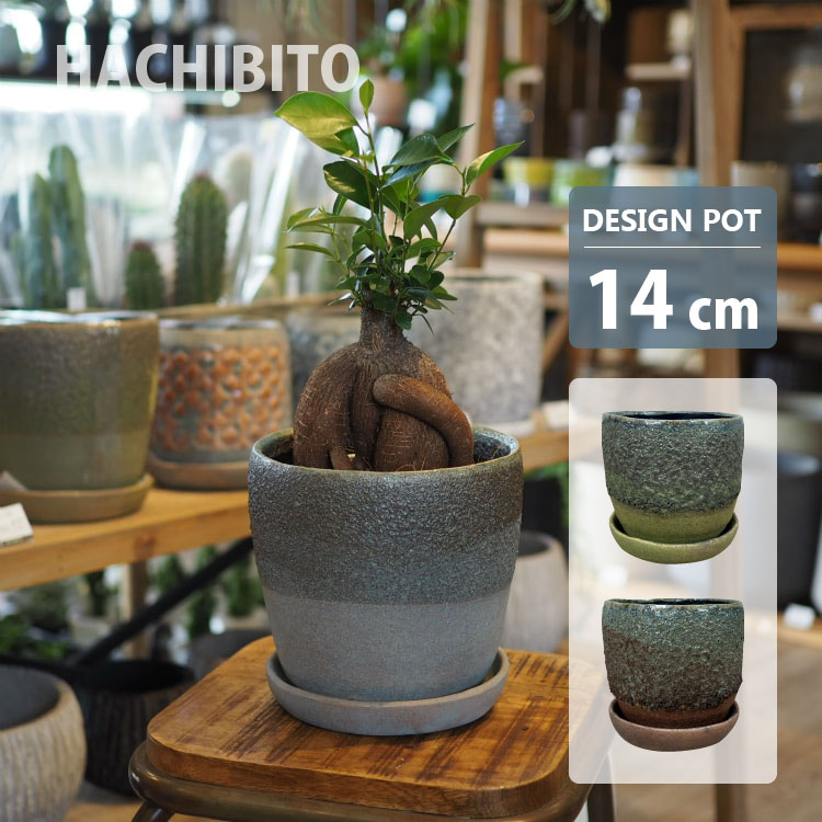 楽天市場】植木鉢（カラーワインレッド）（ガーデニング・農業｜花