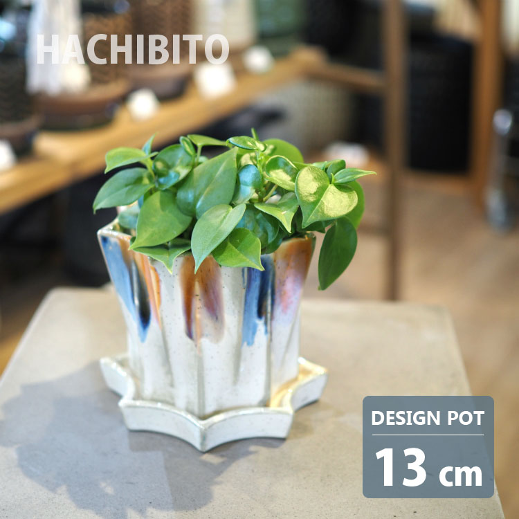 楽天市場】八角（素材（ガーデニング・DIY用品）陶器）（花・ガーデン
