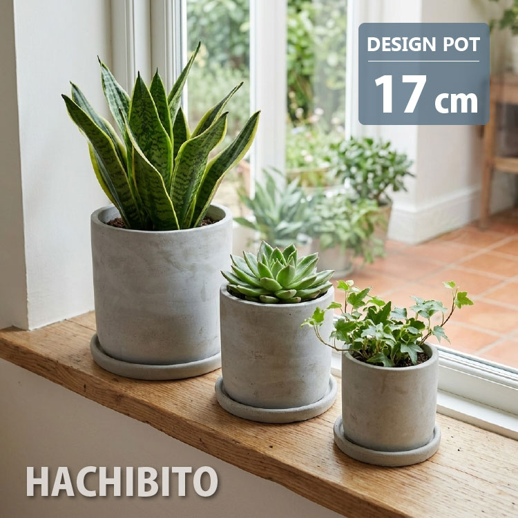 楽天市場】17センチ 植木鉢の通販