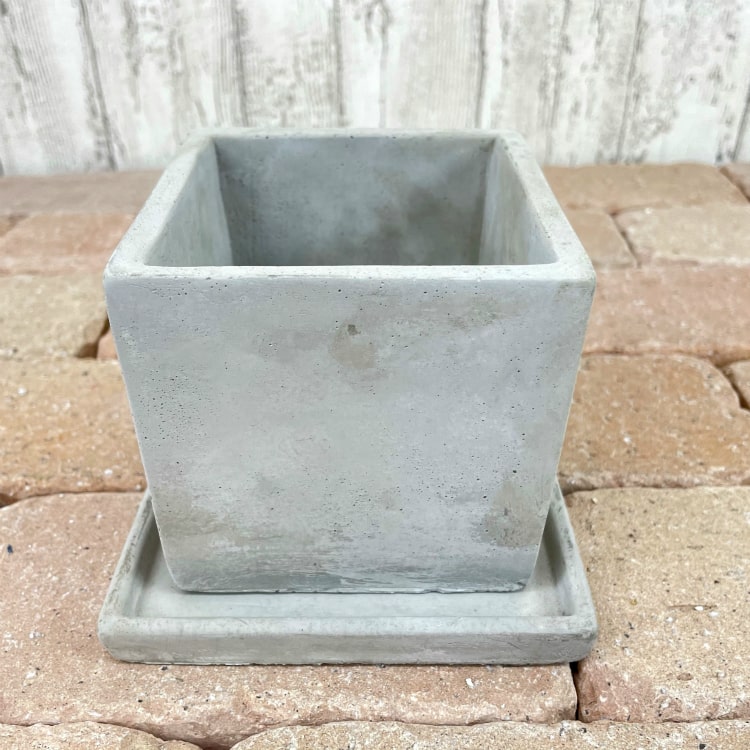 植木鉢 おしゃれ コンクリートポット CC003-110 3.5号(11cm) / 陶器鉢 四角 セメント