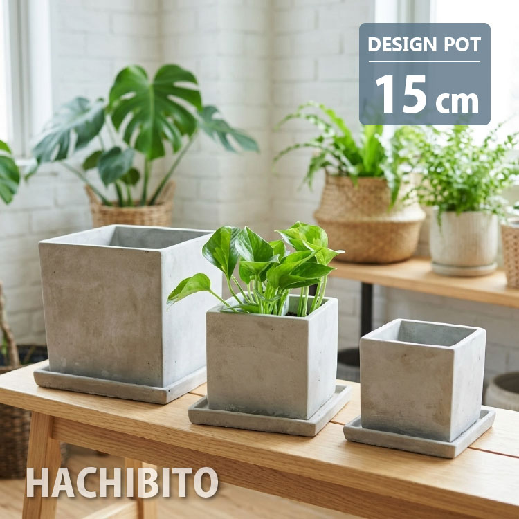 楽天市場】鉢 陶器 スクエア 5号の通販