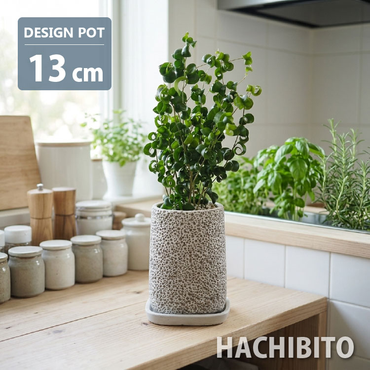 口径24.5cm植木鉢多肉塊根観葉植物ハンドメイド陶器陶芸 楽天市場】奇抜（植木鉢｜植木鉢・プランター）：ガーデニング・農業