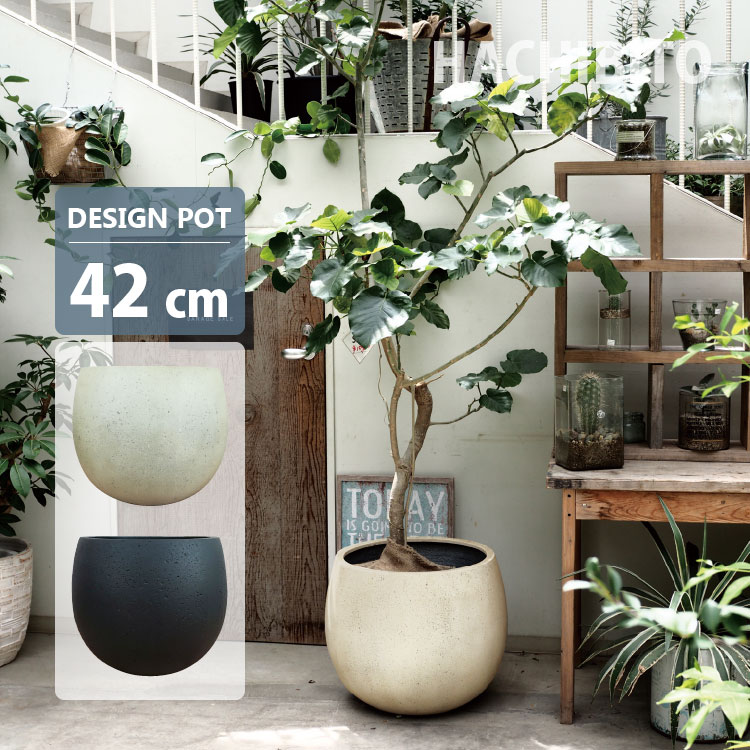 楽天市場】植木鉢 18号の通販 楽天市場】植木鉢 18号の通販