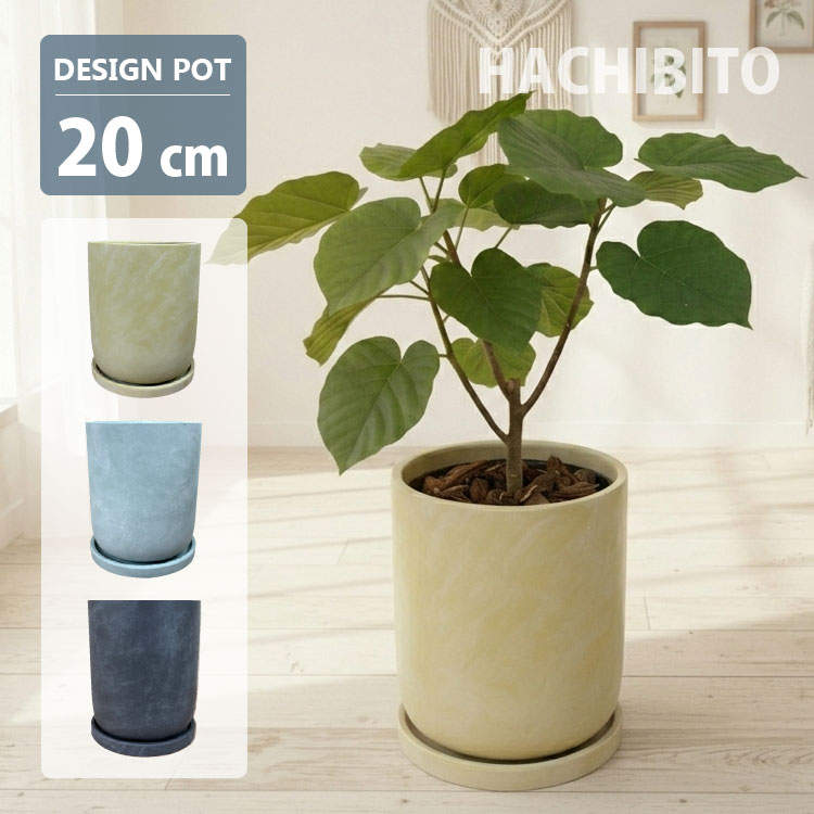 楽天市場】20cm（種類（植木鉢）スタンダード鉢）（植木鉢・プランター