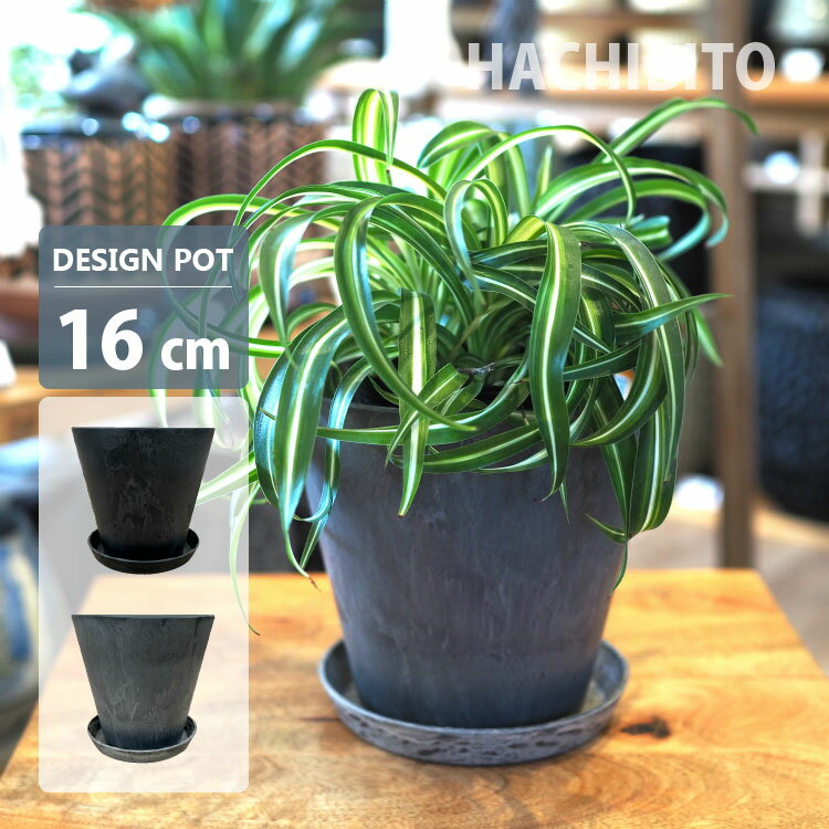 楽天市場】底面 給水 5号の通販