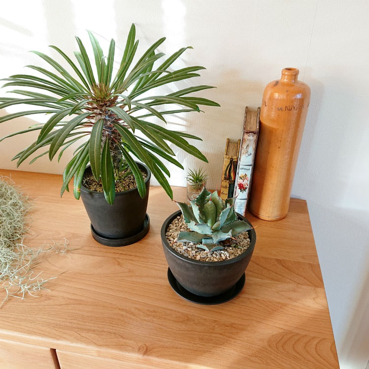 植木鉢 おしゃれ 軽量 BLACKPOT ブラックポット MA101-120 4号(12cm) 鉢底穴有り・...