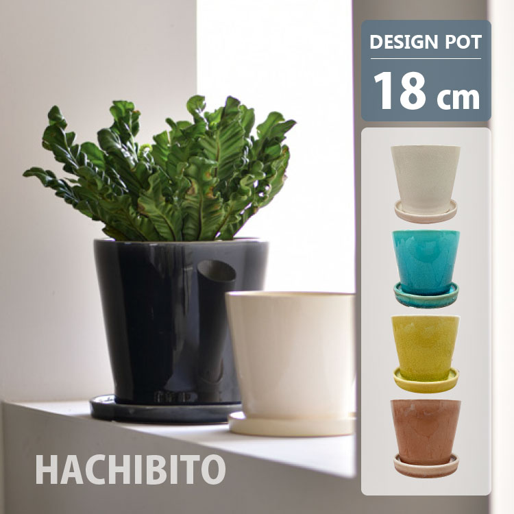 楽天市場】植木鉢 陶器 6号(ガーデニング・農業|花・ガーデン 楽天市場】植木鉢 陶器 6号(ガーデニング・農業|花・ガーデン