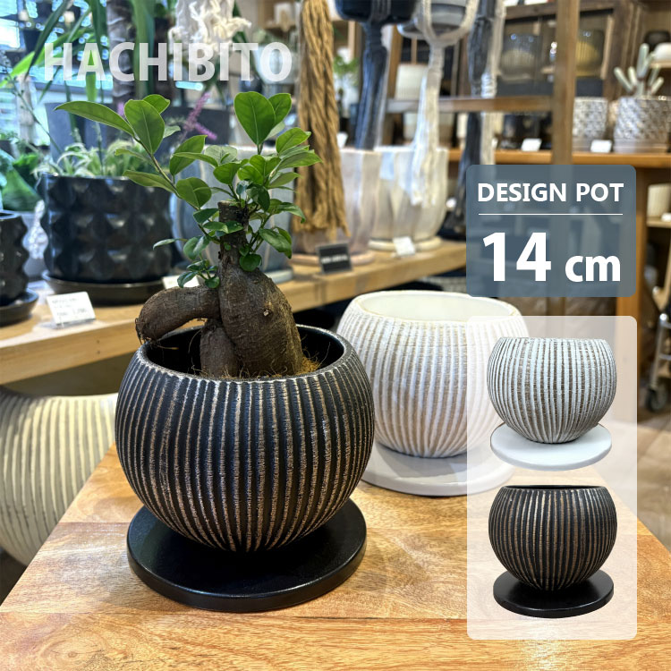 植木鉢 おしゃれ 陶器鉢 ライラ ポット MM082-140 4.5号(14cm) 鉢底穴有り 受け皿付き 丸型 モダン ホワイト ブラック...