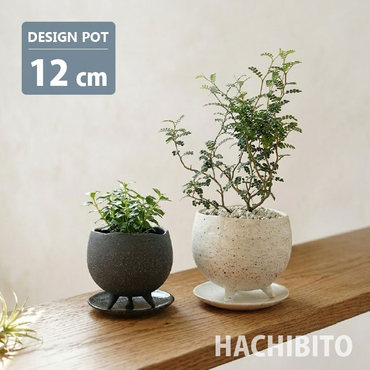 楽天市場】足 付き 植木鉢（花・ガーデン・DIY）の通販