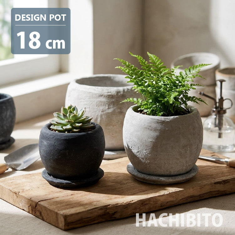 楽天市場】6 号 植木鉢 丸型の通販