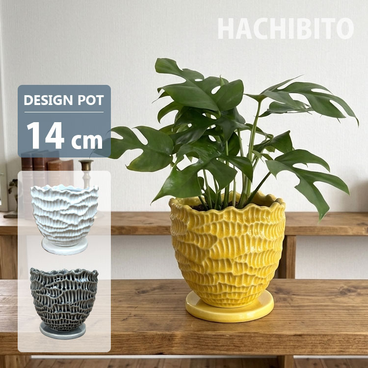 陶器製 植木鉢 イエローとブラウンのグラデーション　【新品未使用・美品】 mm005_t1.jpg