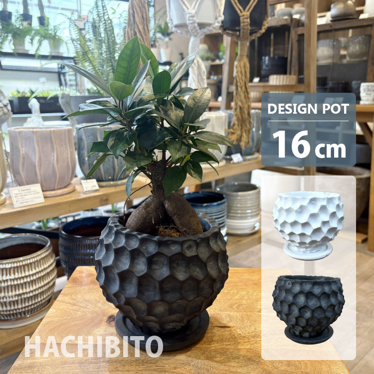 ガーデニング　フラワーポット シャビー 器 園芸ネット本店｜シャビーポット：6号ブラウン 3個セット の通販【公式】