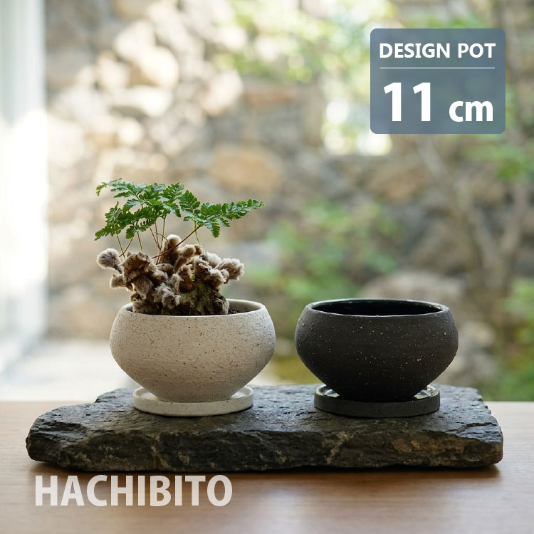 楽天市場】植木鉢 浅型（サイズ（植木鉢）～ 3号）の通販