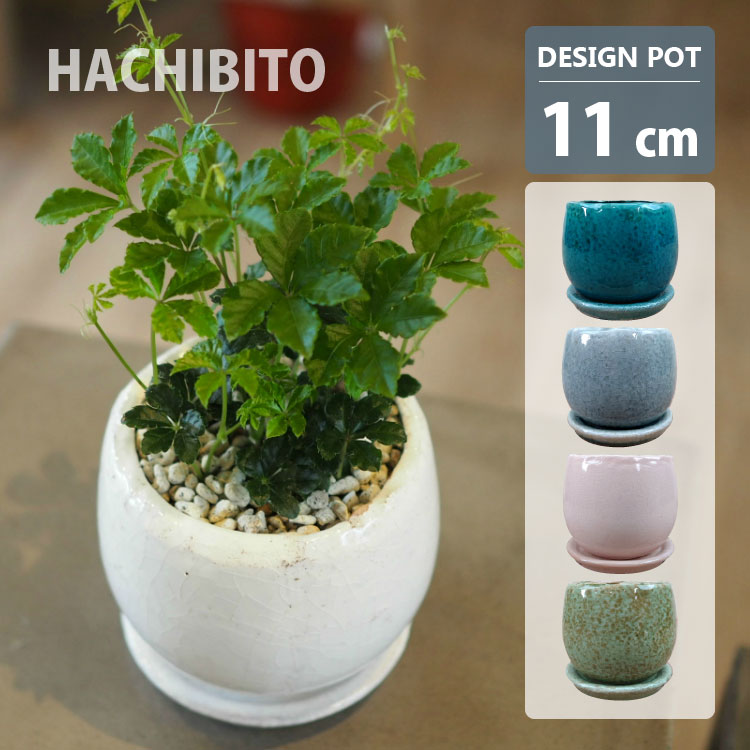 楽天市場】グレー(サイズ(植木鉢)~ 3号)(植木鉢|植木鉢 楽天市場】グレー(サイズ(植木鉢)~ 3号)(植木鉢|植木鉢