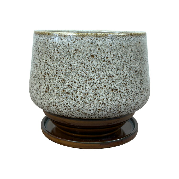 ����ȭ ������� ƫ��ȭ ����� �ݥå� MM040-150 5��(15cm) ȭ���ͭ�� �������դ� �ݷ� ����� �¥ƥ�����