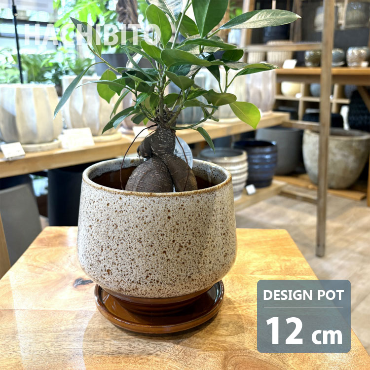 植木鉢 おしゃれ 陶器鉢 アラル ポット MM040-120 4号(12cm) 鉢底穴有り 受け皿付き 丸型 モダン 和テイスト