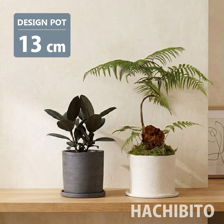 楽天市場】植木鉢 黒 5号の通販