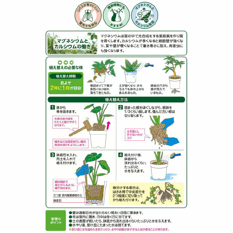 三つ星 室内観葉植物の土 5リットル / 家庭菜園 ベランダガーデン 室内園芸