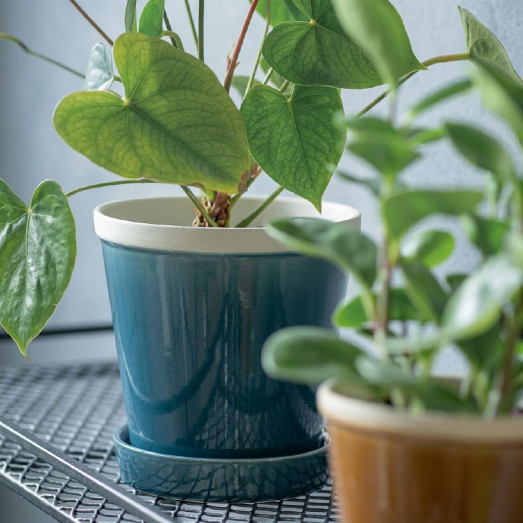 植木鉢 おしゃれ 陶器鉢 グロッシーポット PH004-130 4号(13cm) 鉢底穴有り 受け皿付き 丸型 ホワイト ブルー グレー ピンク 2
