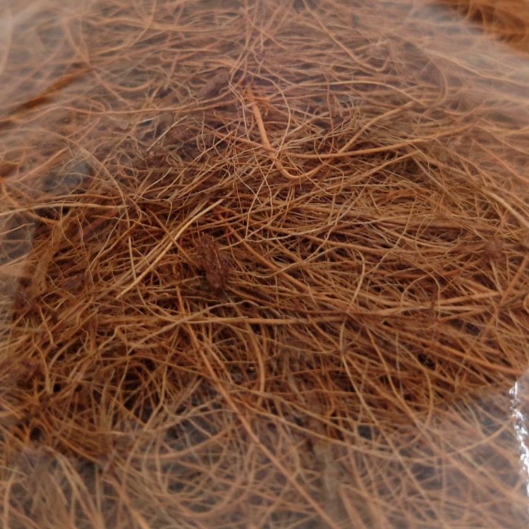 �����䥷�ե����С� PR008 100g �������ʿ���ȭ / �ޥ���󥰺�