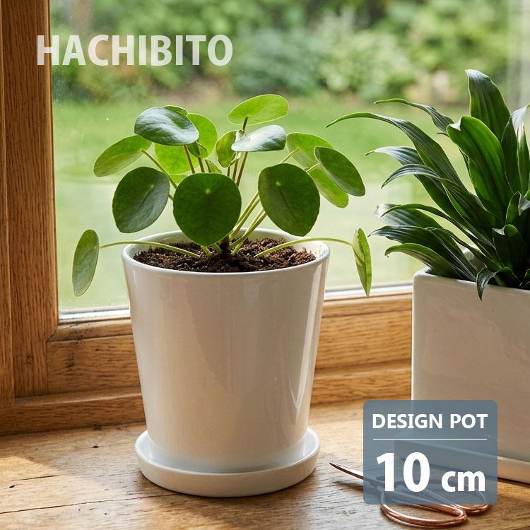 楽天市場】植木鉢 3．5号の通販
