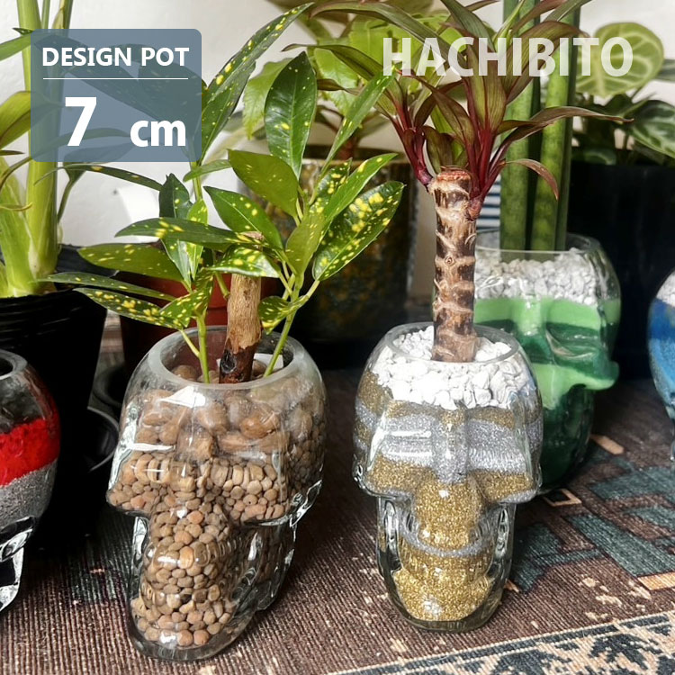 楽天市場】スカル（植木鉢・プランター｜ガーデニング・農業）：花