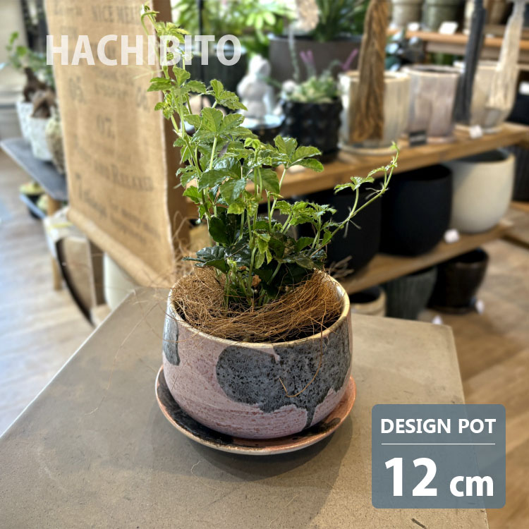 睡蓮鉢木枠カバー 50cmタイプ 丸深睡蓮鉢L・M・S 3個