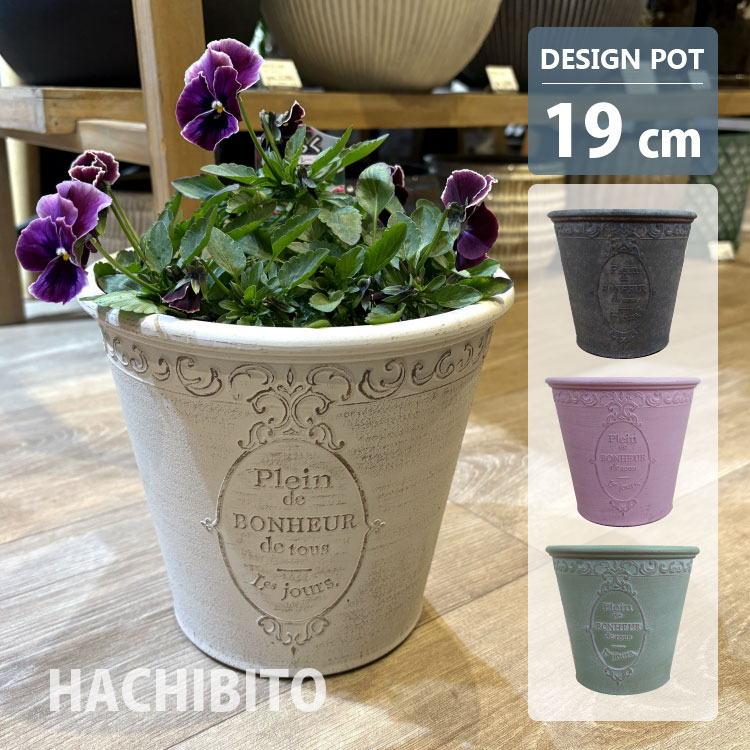 楽天市場】植木鉢 6.5号の通販 楽天市場】植木鉢 6.5号の通販