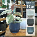 カッチリ高品質のストーンウェア！ ストーンウェア製の植木鉢は、磁器と陶器の中間的な商品で、陶器のように見えますが、実際には原材料は土を使い、磁器のように1100～1250度の高温にて焼き上げます。 空気穴の少ないストーンウェアはカッチリと固く薄手なつくりなのも特徴です。 若干口周りは小さめ その形状から口周りは若干狭くなっておりますが、植え替えは容易。鉢底穴＆専用の受け皿も付属するので植込みにもしっかりと対応します。 受け皿はデザイン重視でウォータースペースは少なめ、水やりの際はよく水を切ってから受け皿へお戻しください。 カラーバリエーション アイボリーホワイト、ブラック、ブルーの3色をご用意。光沢を抑えたマットな質感で表面は細かなシボ加工がされており高級感があります。 指ではじくと凛とした高い音が鳴り、高温で焼かれたカッチリとした質感をお楽しみいただけます。 大きさが知りたい カラーラインナップ ホワイト ブラック ブルー 商品仕様 商品型番 UN484-160 サイズ 5号 / 16cm 鉢底穴 有り 受け皿 有り 材質 ストーンウェア 重さ 970g ご購入前にご確認ください