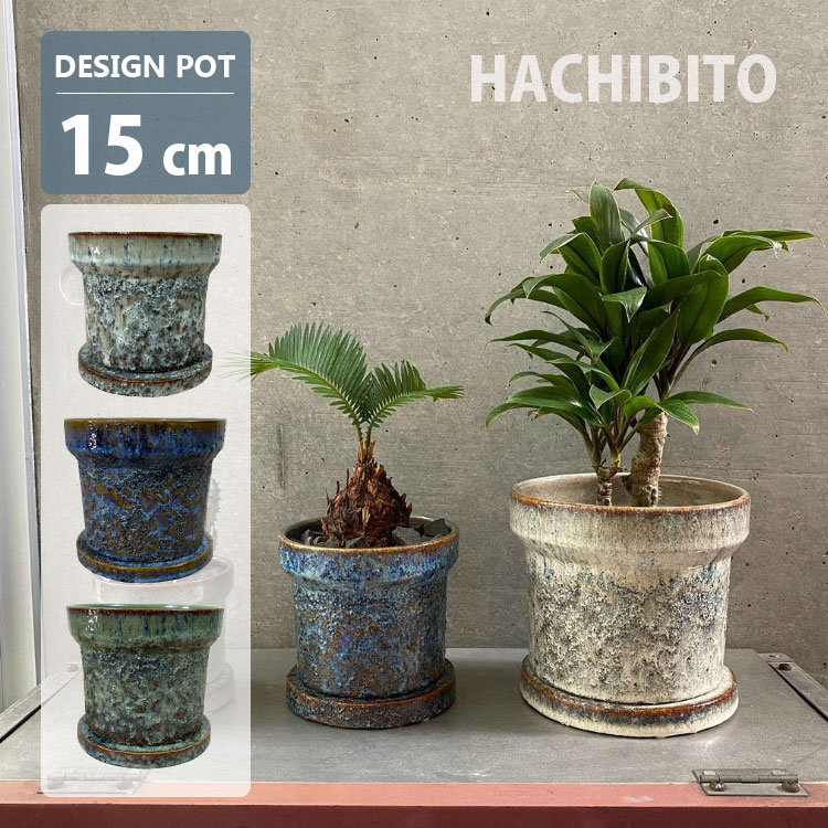楽天市場】15cmプラスチック植木鉢の通販 楽天市場】15cmプラスチック植木鉢の通販
