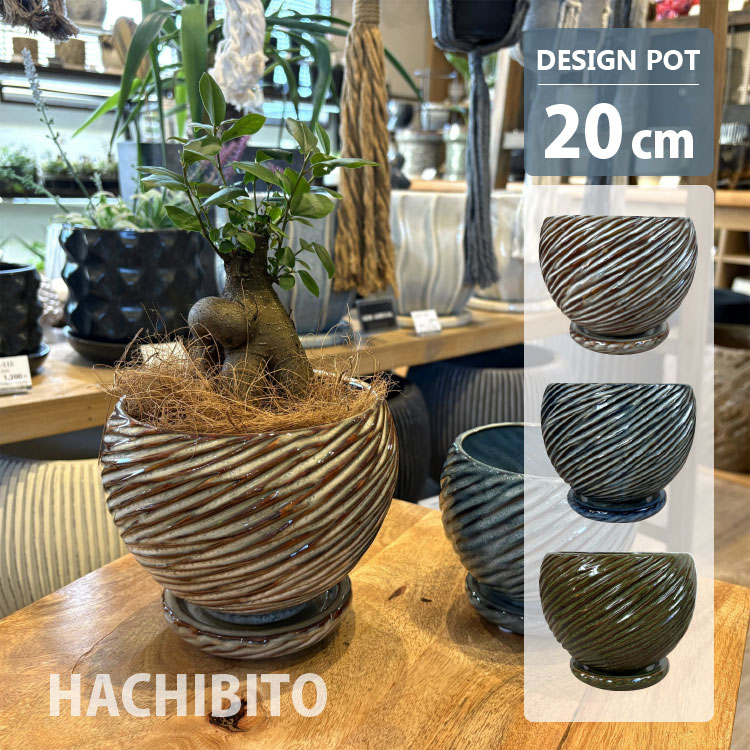 楽天市場】和 青 陶器 植木鉢の通販 楽天市場】和 青 陶器 植木鉢の通販