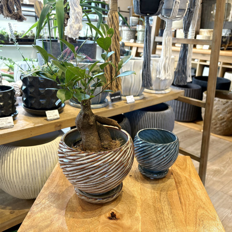 植木鉢 おしゃれ 陶器鉢 アスロープポット Y...の紹介画像2